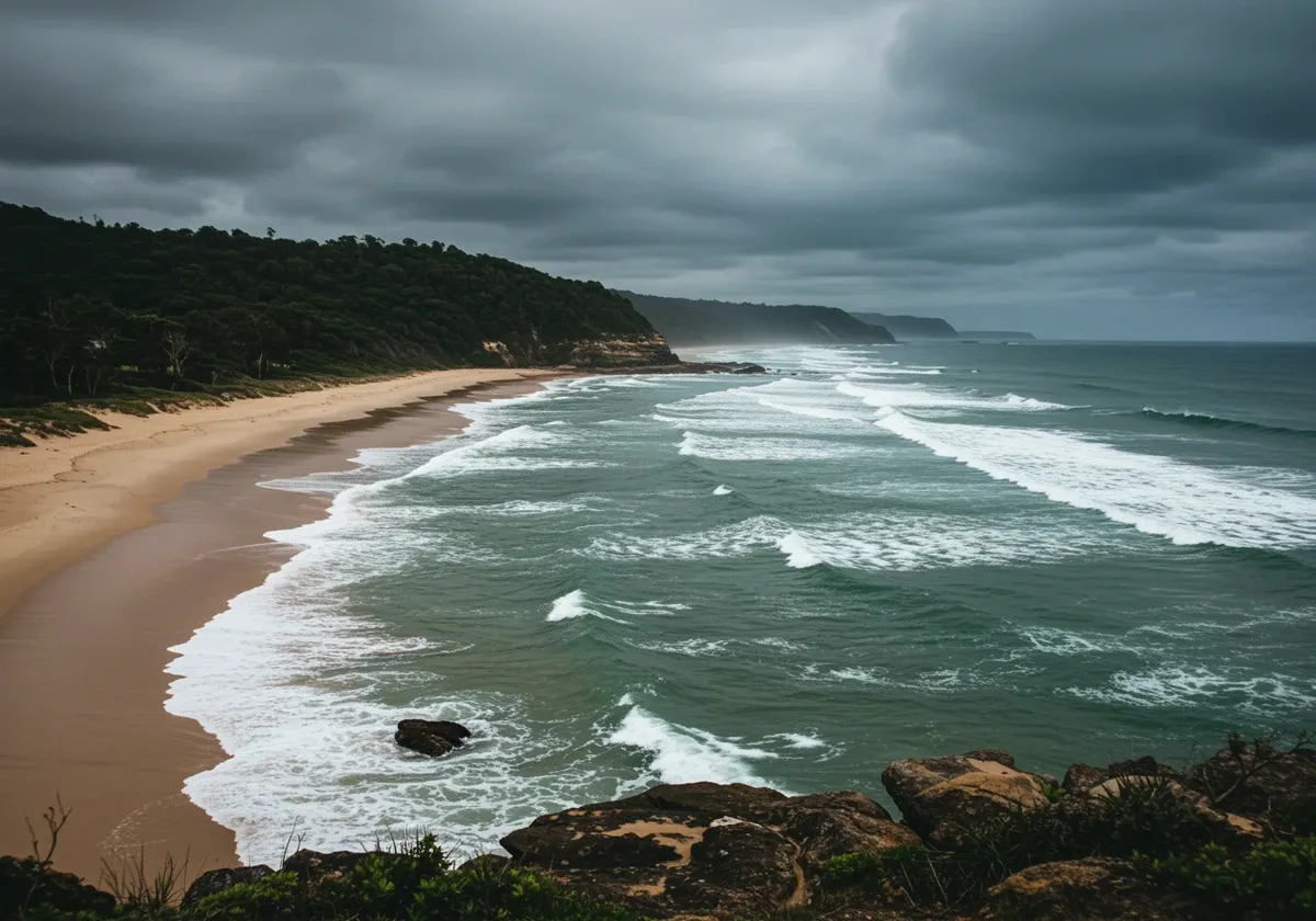 سيدني الداخلية/Port Macquarie (محطات وصول داخلية)