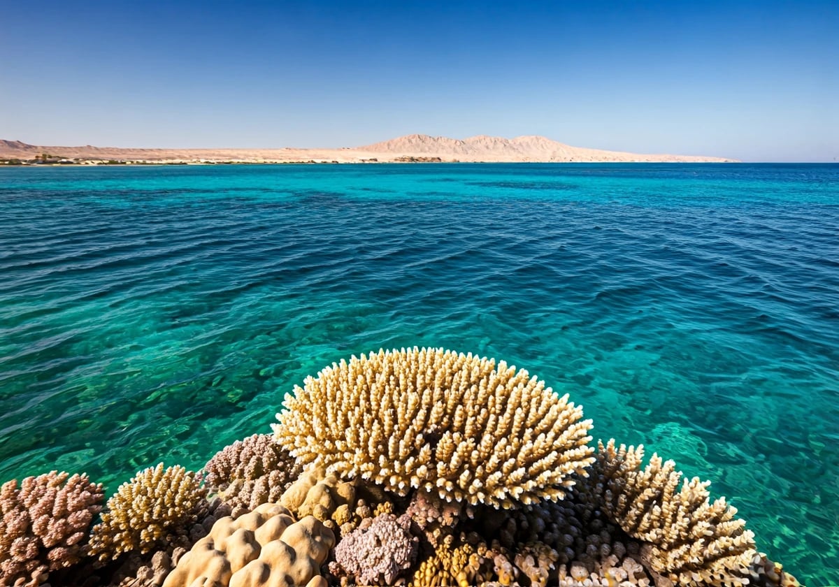 الغردقة